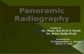 Panoramic radiography