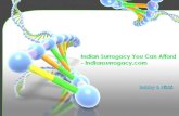 Indian surrogacy you can afford   indiansurrogacy.com