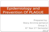 Epidemiology and prevention of plague