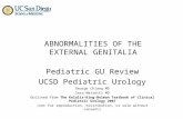 PEDI GU REVIEW-External Genitalia