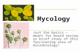 MYCOLOGY REVIEW