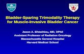 Bladder-Sparing Trimodality Therapy for Muscle-Invasive Bladder Cancer