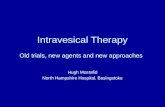 Intravesical Therapy: Old trials, new agents and new approaches