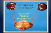 Excretion Urography / Intravenous Urography (IVU)