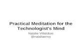 Practical Meditation For The Technologist's Mind