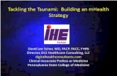 SeHF 2014 | Tackling the Tsunami: Building an mHealth Strategy