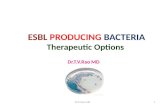 ESBL Producers Therapeutic options