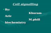 Cell signalling 1