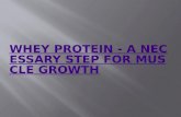 Whey protein   a necessary step for muscle growth.ppt