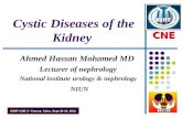 Cystic kidney diseases dr.a.hassan end123