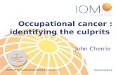 3. Occupational cancer burden  identifying the main culprits