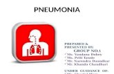 Pneumonia final ppt 24.09.12
