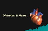 Diabetes And Heart