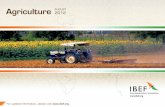 Agriculture Sector in India, Agricultural Development in India, Statistics