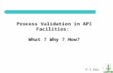 Process Validation of API