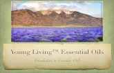 Power point introduction to essential oils class