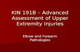 Kin 191 B – Elbow And Forearm Pathologies