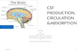 Csf production,circulation & absorption
