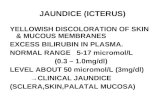 Jaundice (Icterus)