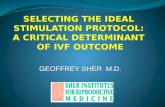 Individualizing Ovarian Stimulation Protocols for IVF