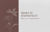 Statistics for Librarians, Session 1: What is statistics & Why is it important?