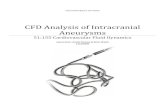 2D CFD simulation of intracranial aneurysm