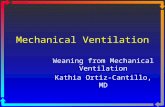 Mechanical Ventilation   Weaning From Mechanical Ventilation