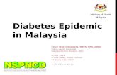 Diabetes epidemic in malaysia, mysir 2013, final