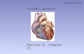section 6, chapter 15: systemic arteries