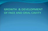 Growth    Development Of Face And Oral Cavity