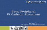 Basic IV Catheter Placement