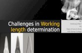 Challenges in working length determination
