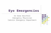 Eye emergencies