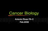 1 Introduction To Oncology