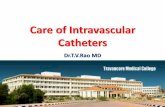 Care of intravascular catheters