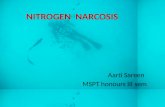 Nitrogen  narcosis