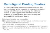 radioligand binding studies