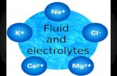 Fluid and electrolytes kochi full