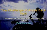 The Challenge Of Acute Back Pain
