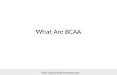 What are BCAA