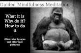 Guided mindfulness meditation - What is mindful meditation & how to do it