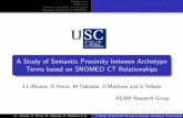 A Study of Semantic Proximity between Archetype Terms based on SNOMED CT Relationships