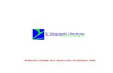 Dr Yellapragada Lifesciences Corporate Profile