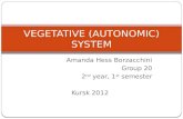 Vegetative (autonomic) system