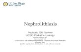 Pedi gu review nephrolithiasis