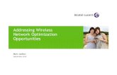 Wireless Network Optimization (2010)
