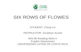 Six rows of flowes