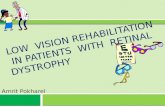 Low vision rehabilitation in patients with retinal dystrophy