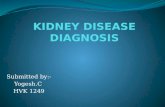 Kidney disease diagnosis