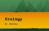 Intro to ecology and the scientific method